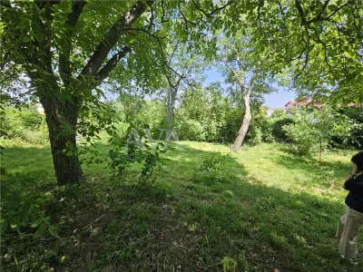 Casă 4 camere Bacău - poza 15