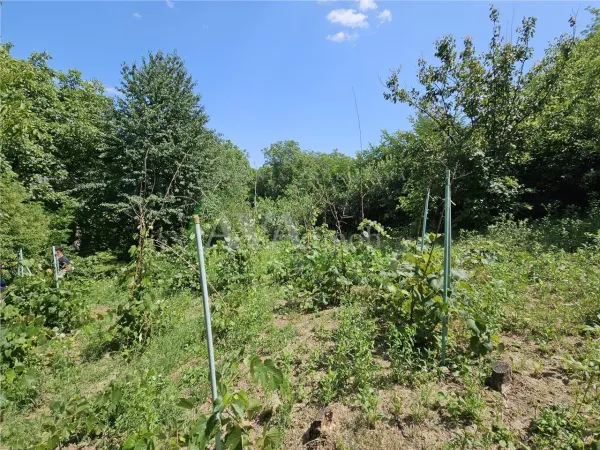 Casă 4 camere Bacău - poza 19