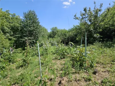 Casă 4 camere Bacău - poza 19