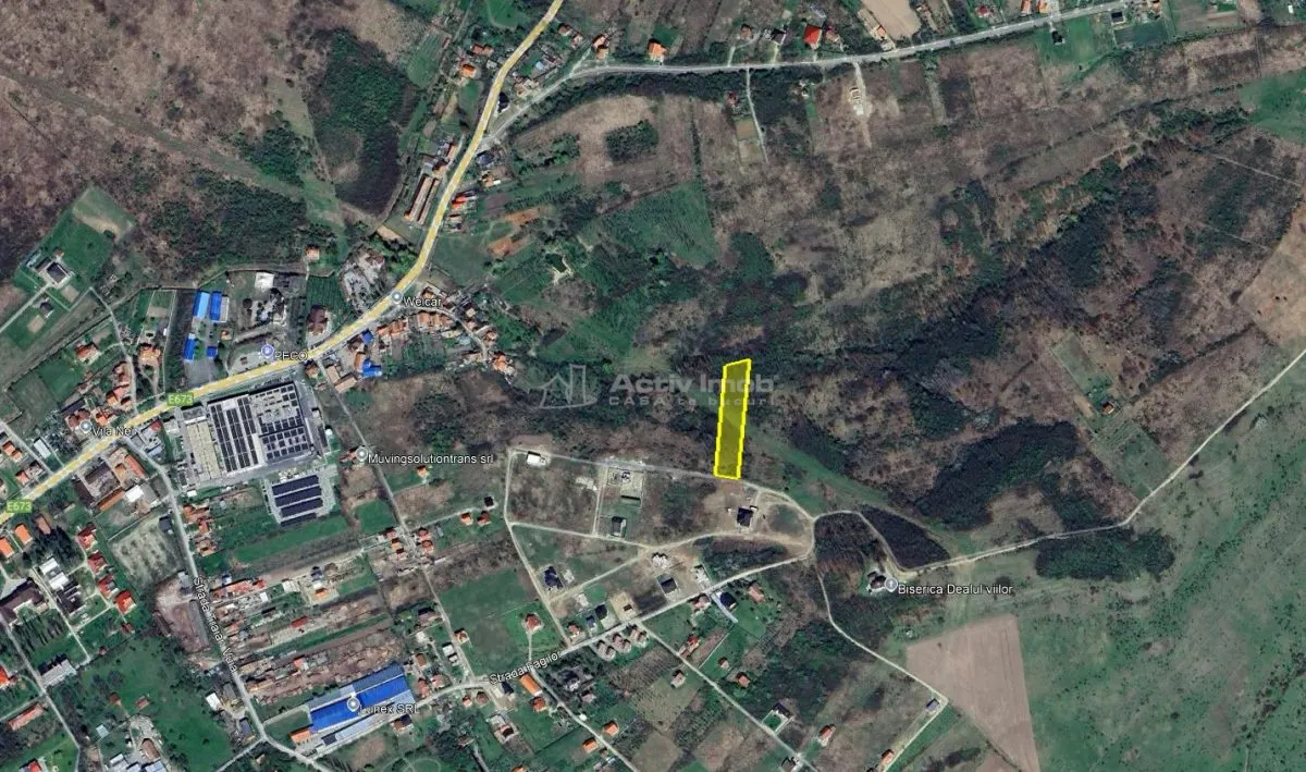 Lugoj Teren  5.300 Mp., Dealul Viilor,  Priveliste Impresionanta - foto 2