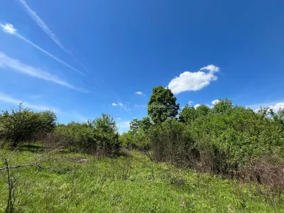 Lugoj Teren  5.300 Mp., Dealul Viilor,  Priveliste Impresionanta - foto 10