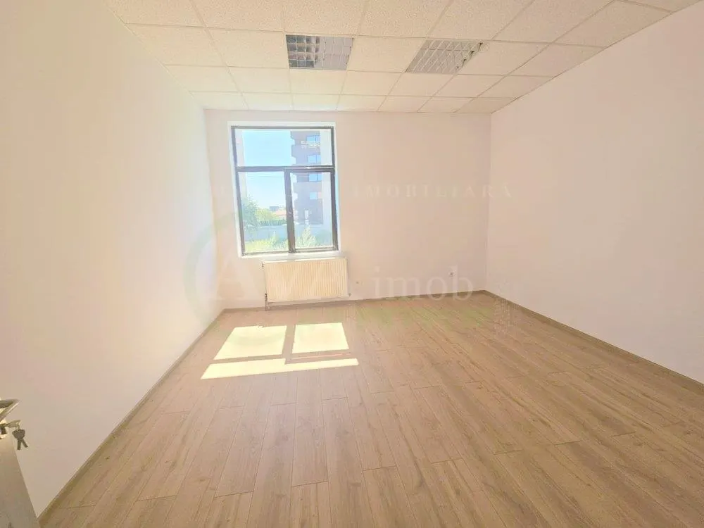De inchiriat spatii birou – Arena Mall, Bacau - foto 2