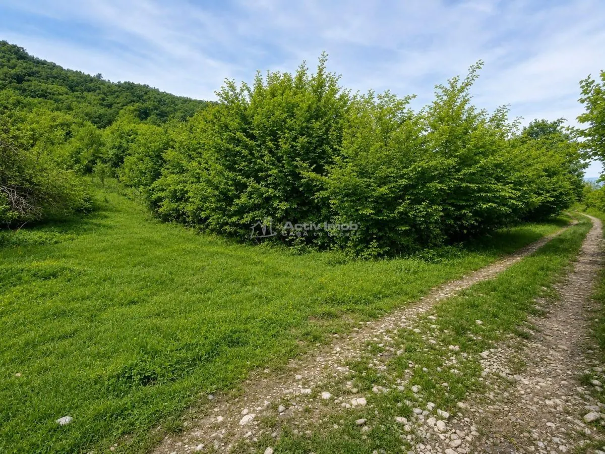 Teren Tălmaciu - poza 1