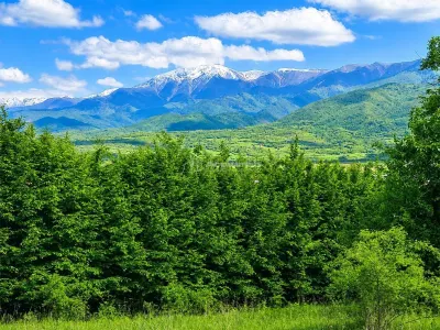 Teren Tălmaciu - poza 3