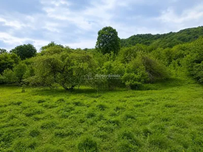 Teren Tălmaciu - poza 6