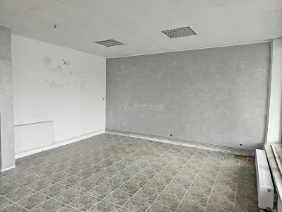 Spatiu comercial de inchiriat 110 mp Central Fieni - foto 7