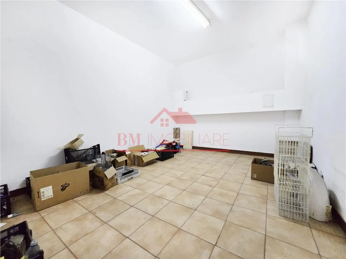 Spatiu comercial-productie de inchiriat Bd Magheru - foto 3