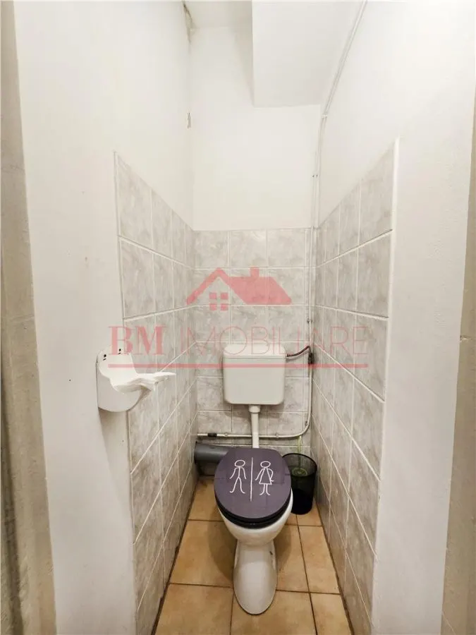 Spatiu comercial-productie de inchiriat Bd Magheru - foto 10