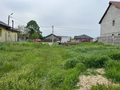 Remetea Mare, Teren Intravilan 1.500 Mp., - foto 4