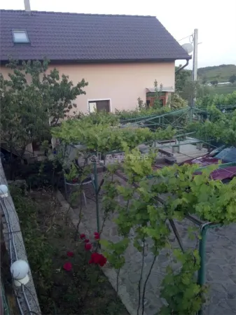 Casă 3 camere Paleu - poza 2