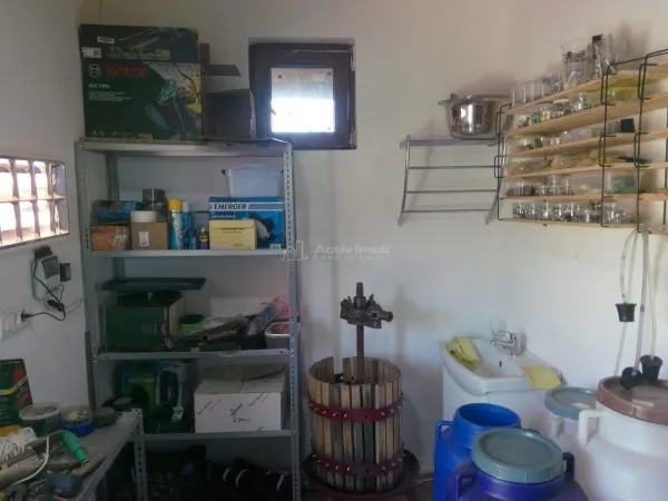 Casă 3 camere Paleu - poza 14