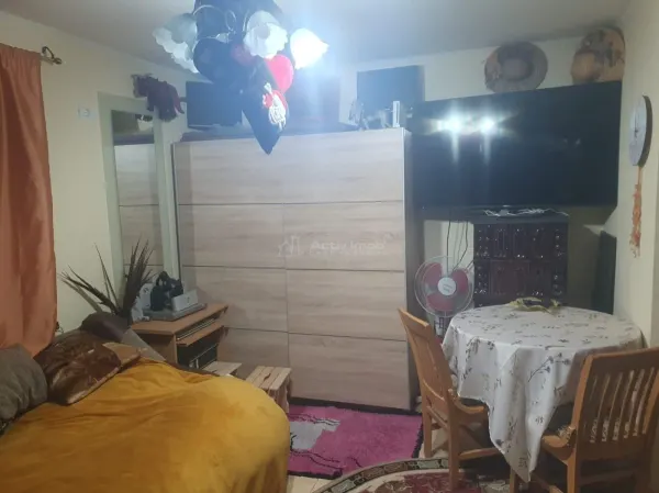 Casă 3 camere Paleu - poza 5