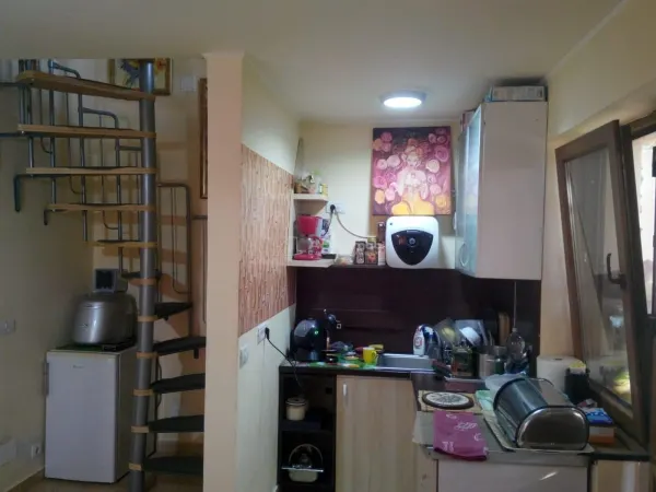 Casă 3 camere Paleu - poza 7
