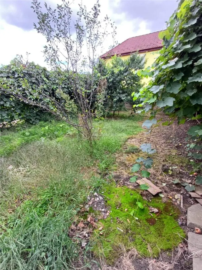 Casa de vanzare in Talmaciu - foto 20