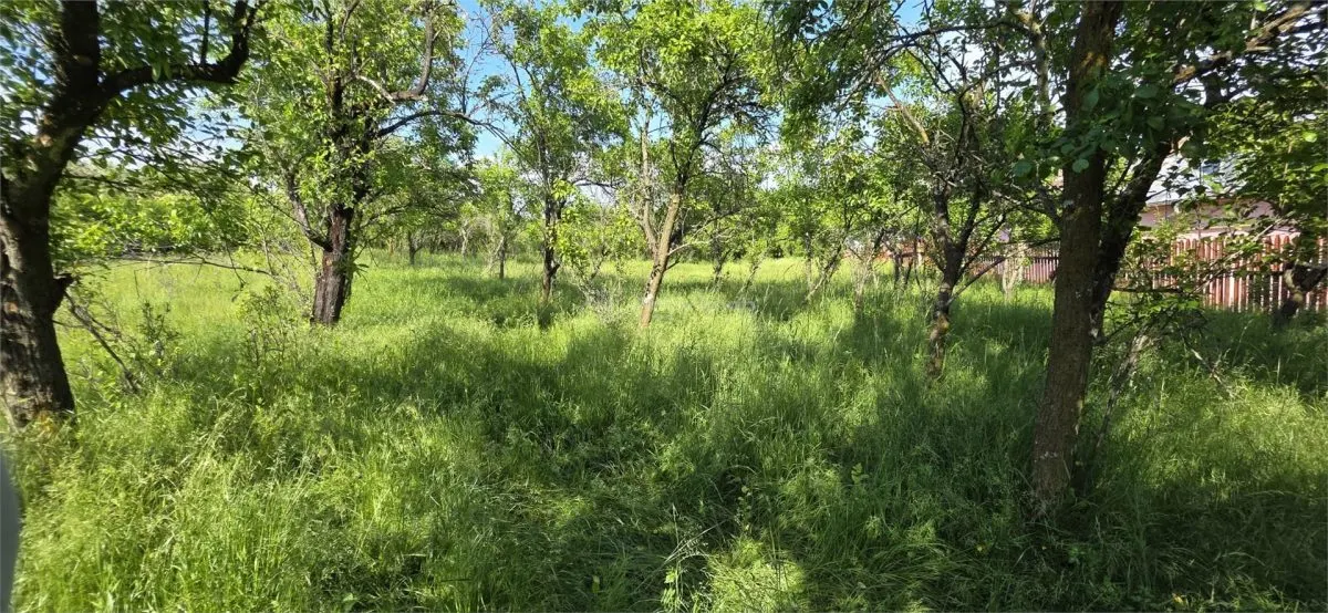Teren 3000 mp intravilan Razvad Redeventei - foto 4