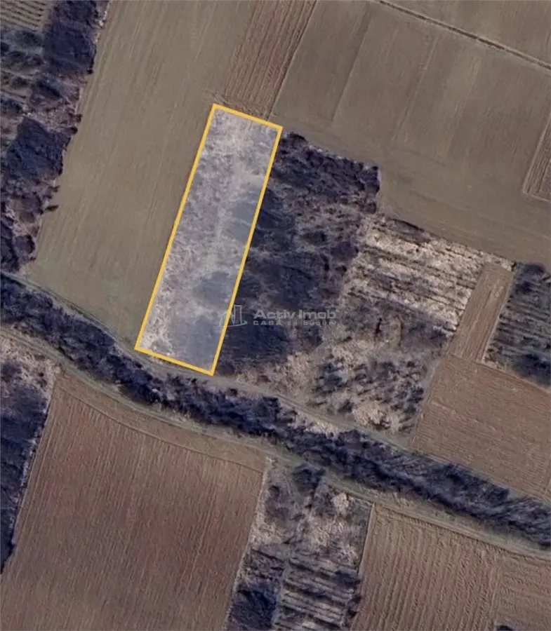 Teren extravilan de vanzare – Dealul Viilor, Biharia | 3000 mp - foto 1