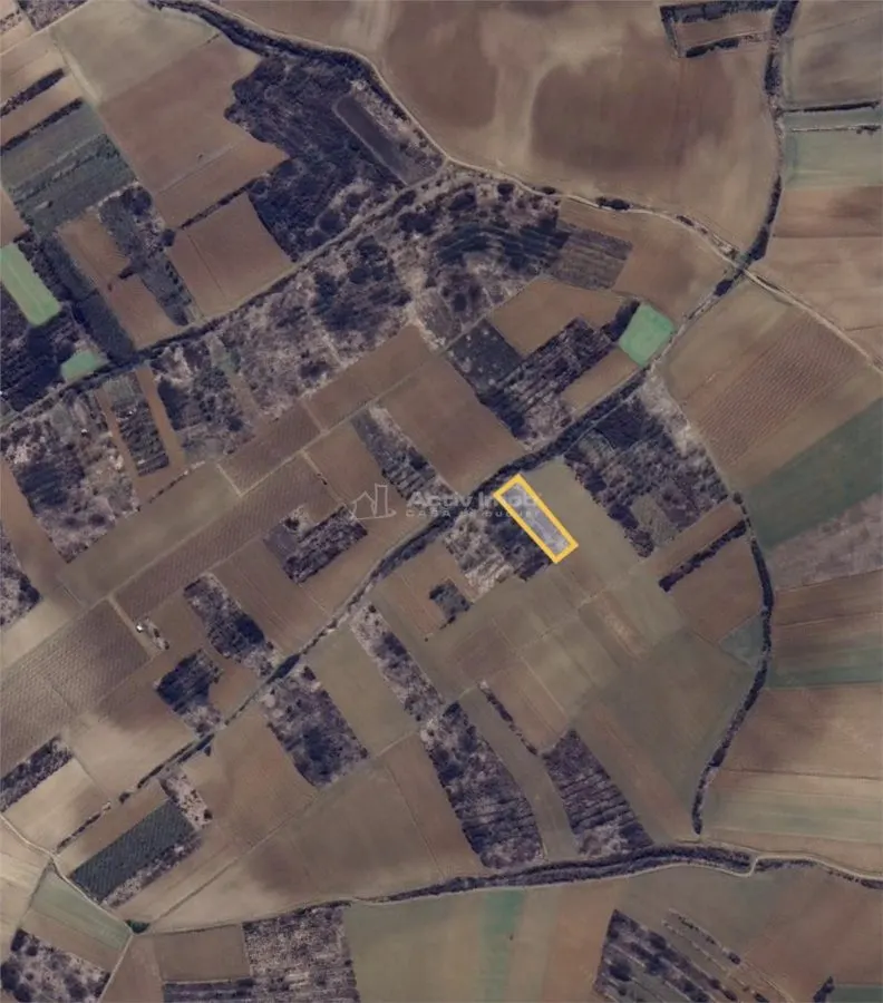 Teren extravilan de vanzare – Dealul Viilor, Biharia | 3000 mp - foto 3
