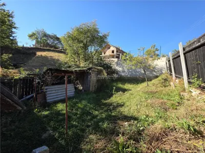 Casă 2 camere Saliste - poza 18