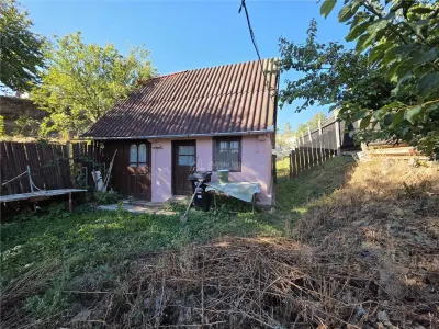 Casă 2 camere Saliste - poza 23