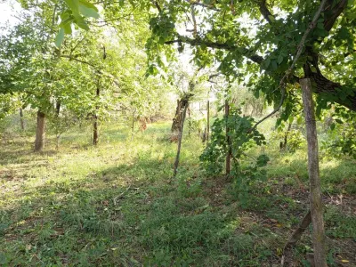 Ciuchici, Casa 7 Incaperi, 1151mp Teren, Pret Negociabil, ZERO COMISION - foto 13