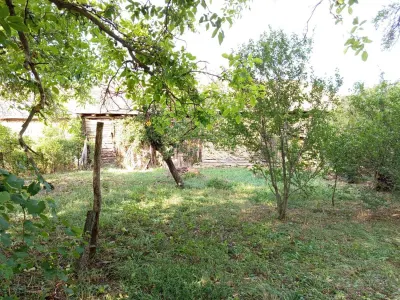 Ciuchici, Casa 7 Incaperi, 1151mp Teren, Pret Negociabil, ZERO COMISION - foto 10