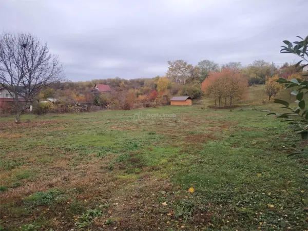 Teren Boldesti-Scaeni - poza 2