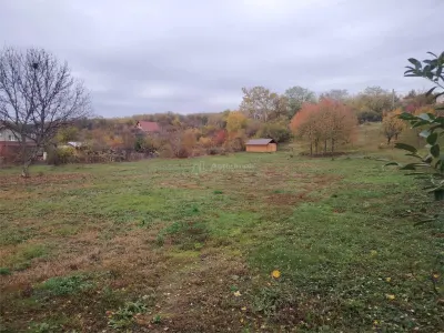Teren Boldesti-Scaeni - poza 2