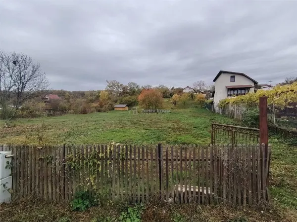 Teren Boldesti-Scaeni - poza 4