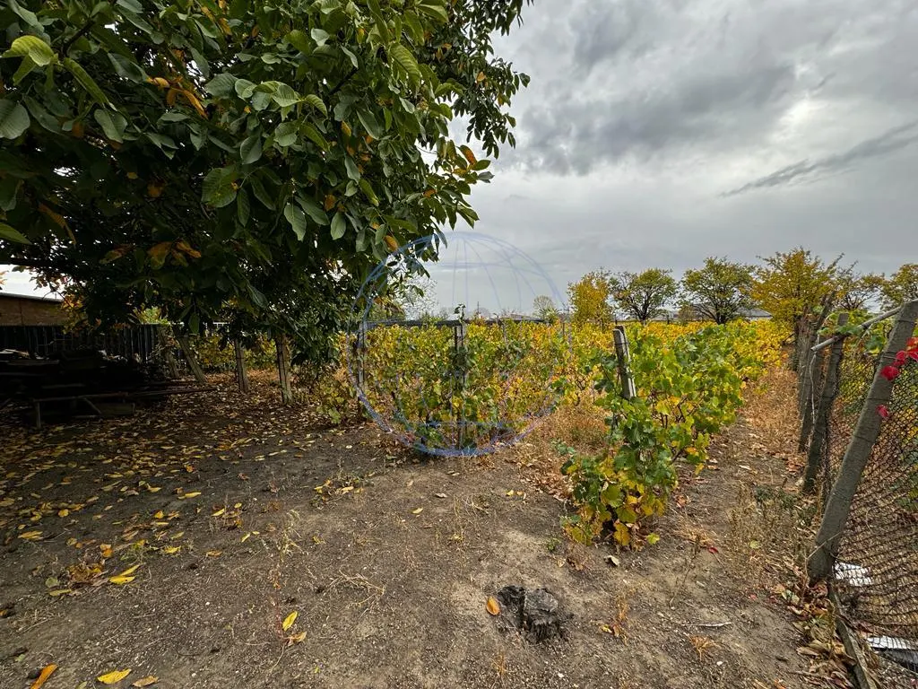 CASA DE VANZARE ODOBESTI (ZONA DE VILE) - foto 6