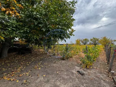 CASA DE VANZARE ODOBESTI (ZONA DE VILE) - foto 8