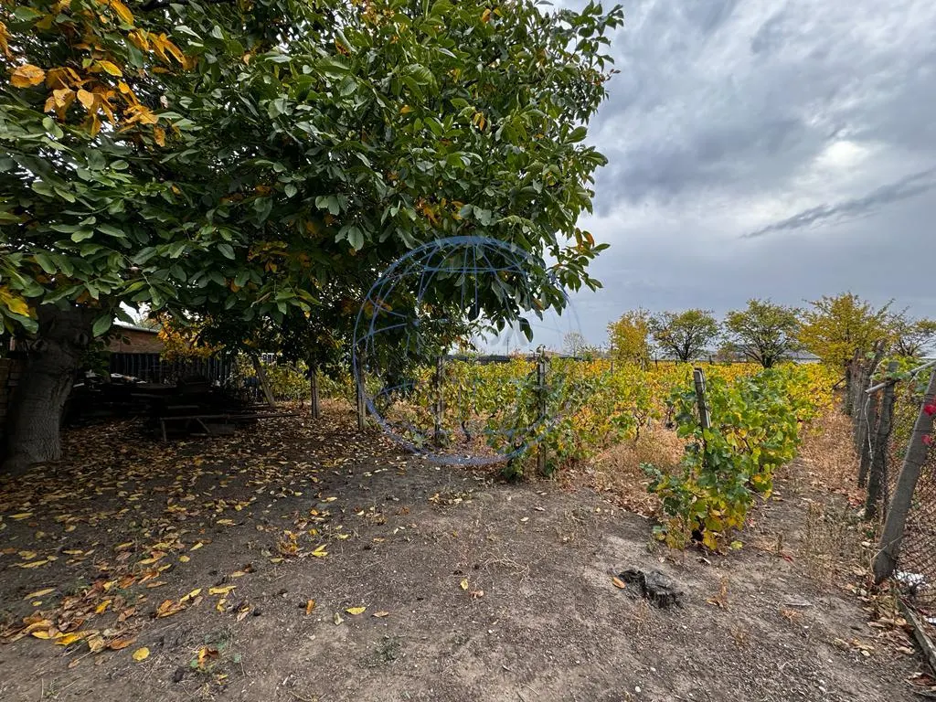 CASA DE VANZARE ODOBESTI (ZONA DE VILE) - foto 8
