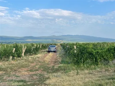 VIE DE  VANZARE ,  BOLOTESTI - Bolotesti