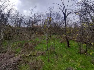 Berliste, Casa pt 2 Familii, la Sosea, Pret Negociabil - foto 30