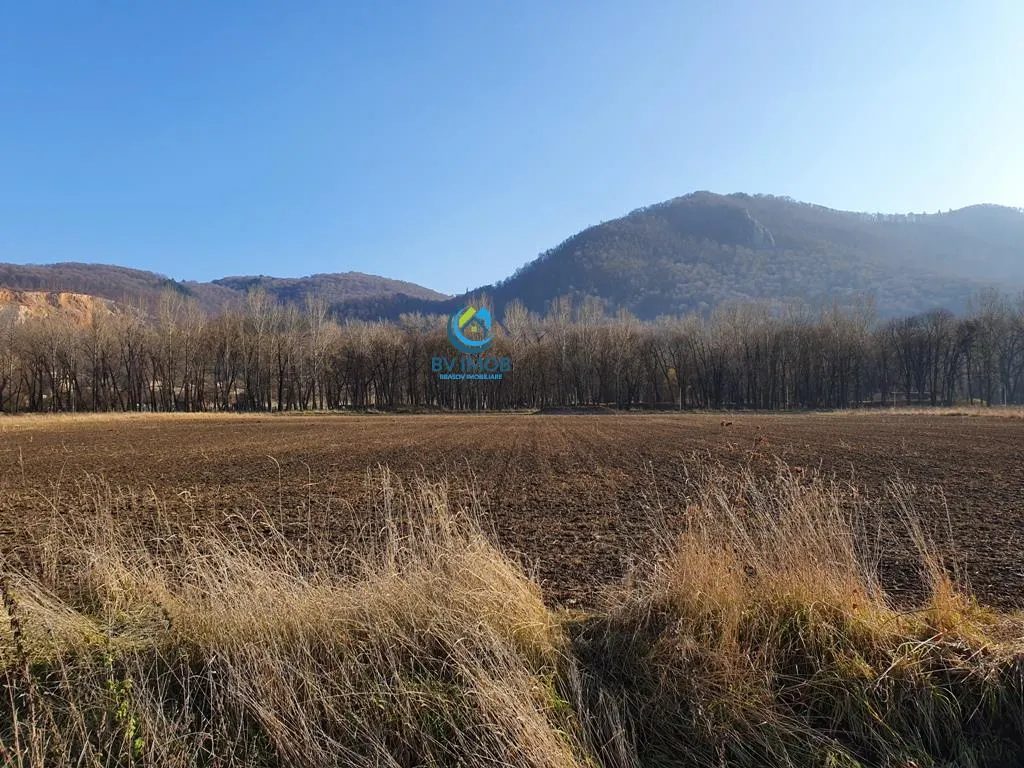 Vanzare Teren intravilan Str. Cucului, zona Bartolomeu 18600 mp - foto 11