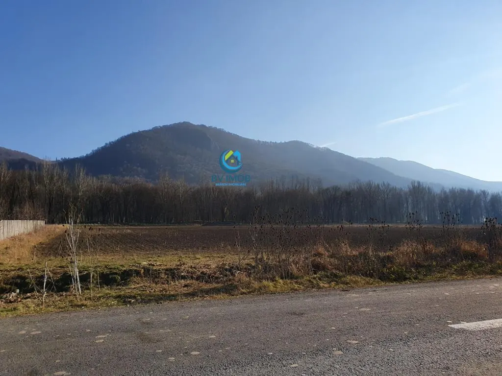 Vanzare Teren intravilan Str. Cucului, zona Bartolomeu 18600 mp - foto 3