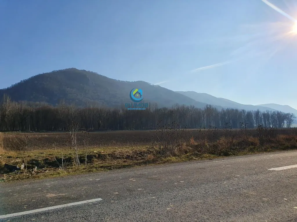 Vanzare Teren intravilan Str. Cucului, zona Bartolomeu 18600 mp - foto 5