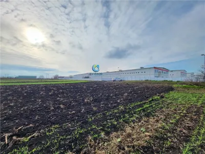 Vanzare Teren pretabil constructie hale, 28.100 mp, Halchiu - Halchiu