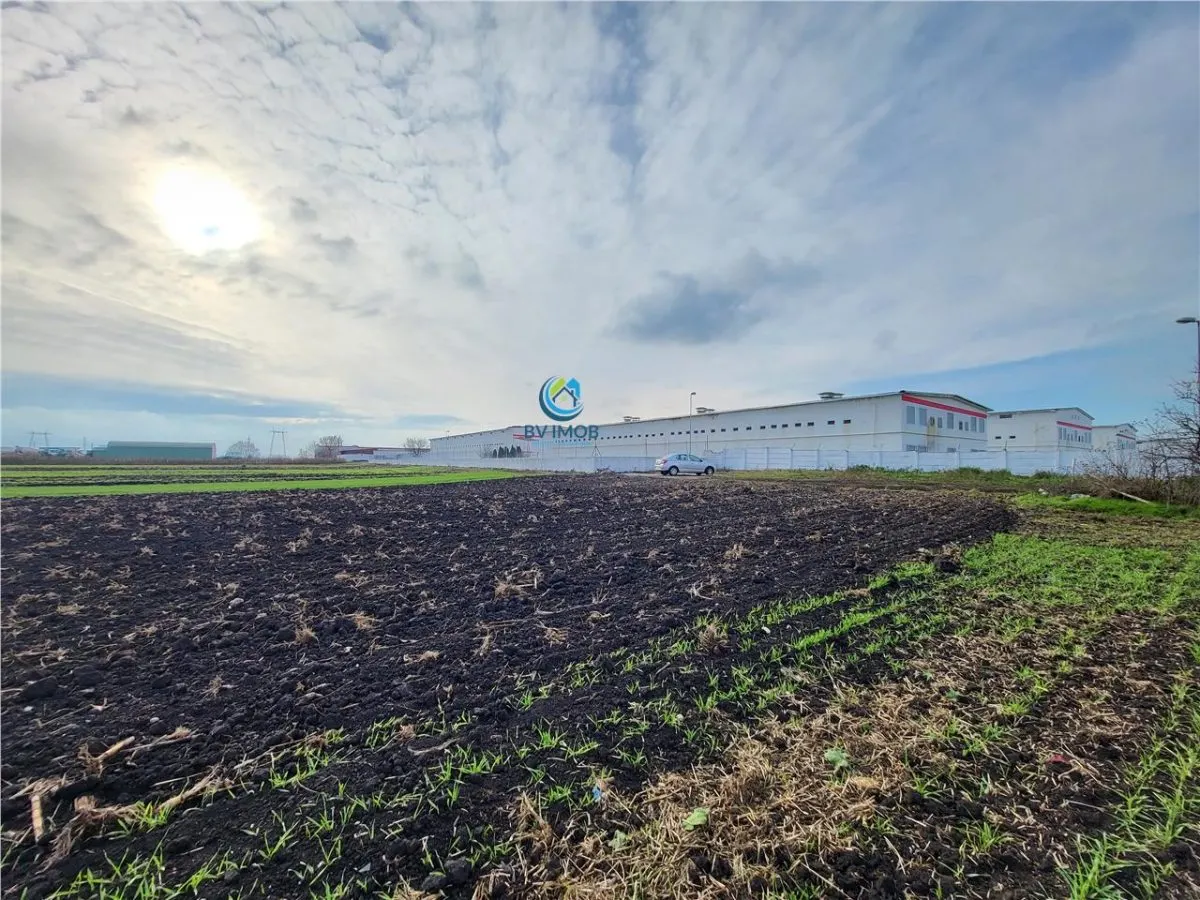 Vanzare Teren pretabil constructie hale, 28.100 mp, Halchiu - foto 1