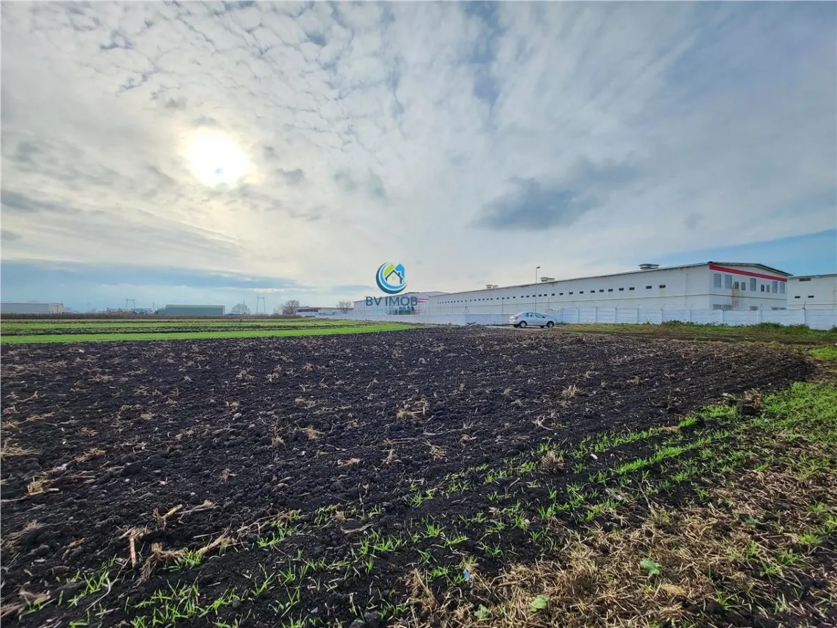 Vanzare Teren pretabil constructie hale, 28.100 mp, Halchiu - foto 11
