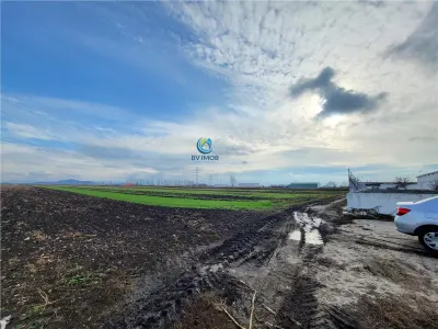 Vanzare Teren pretabil constructie hale, 28.100 mp, Halchiu - foto 4
