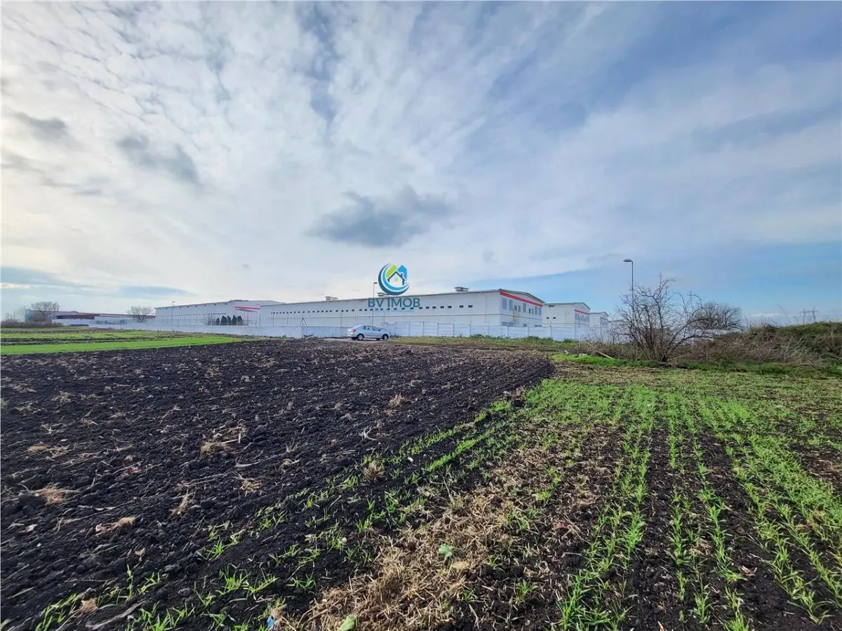 Vanzare Teren pretabil constructie hale, 28.100 mp, Halchiu - foto 9