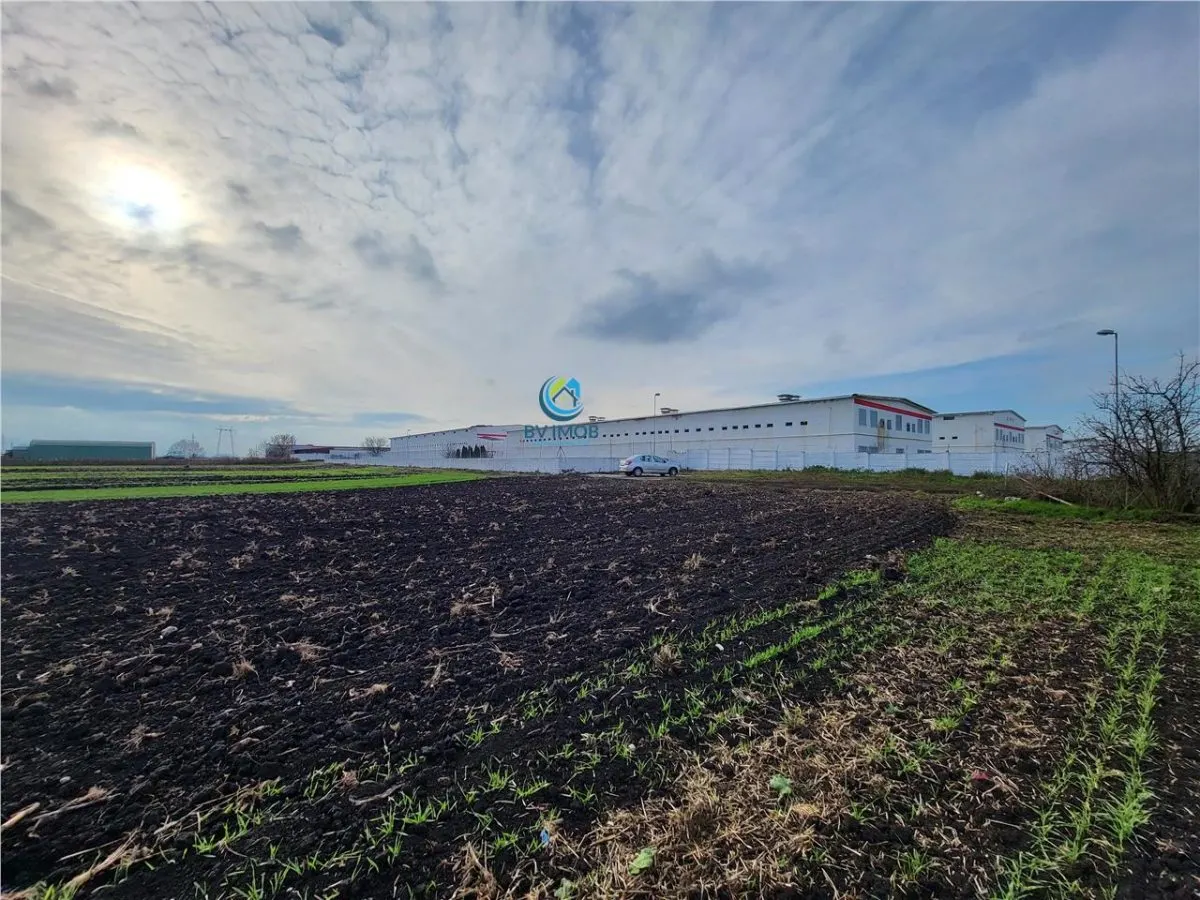 Vanzare Teren pretabil constructie hale, 28.100 mp, Halchiu - foto 10