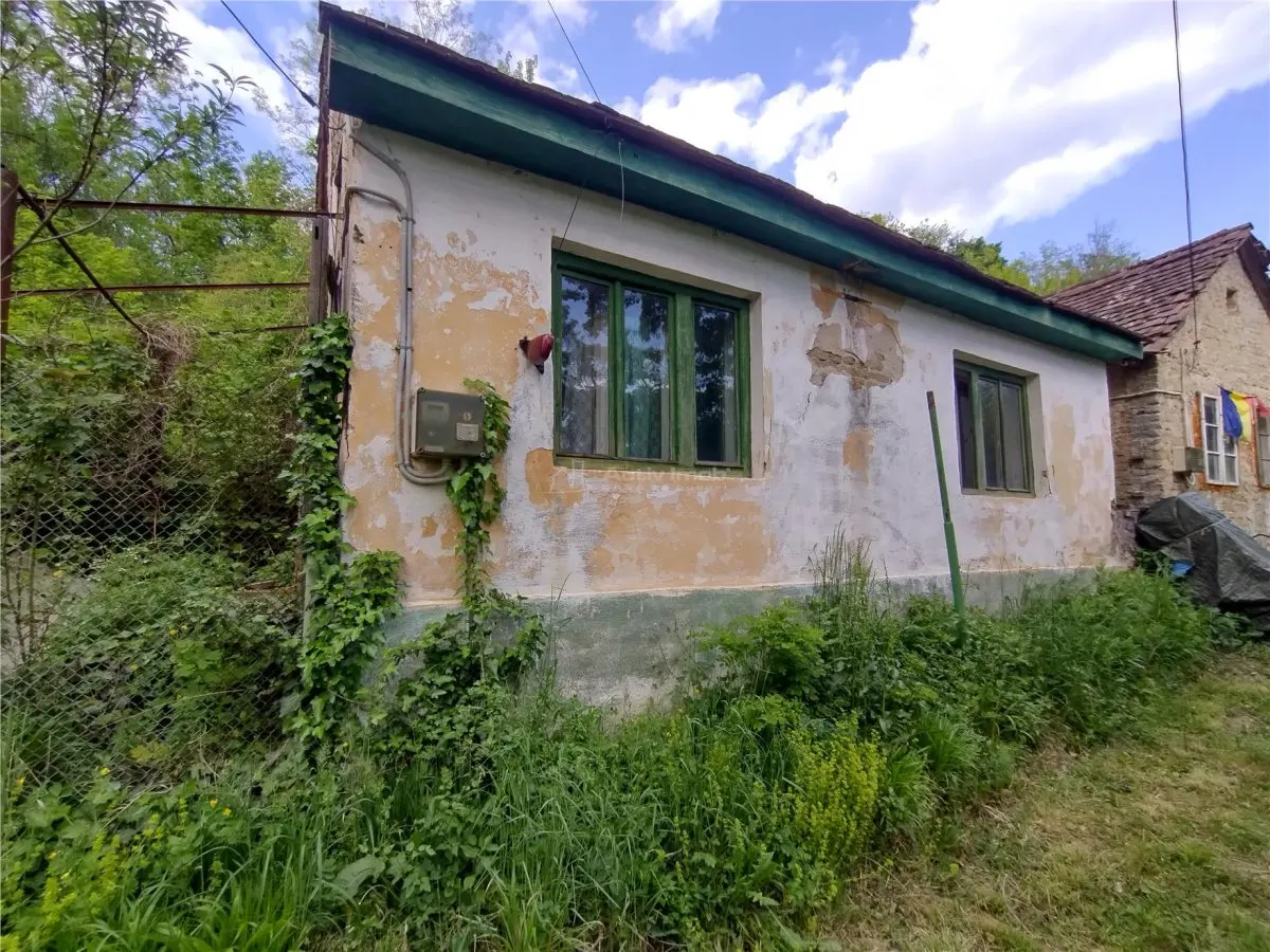 Sasca Montana | Oportunitate | Casa cu 230 MP Teren - foto 2