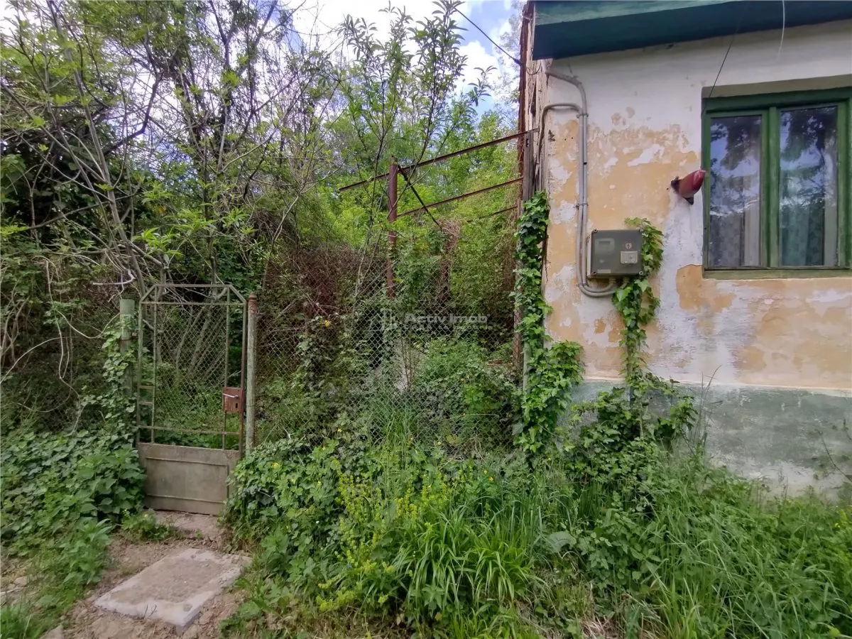 Sasca Montana | Oportunitate | Casa cu 230 MP Teren - foto 3