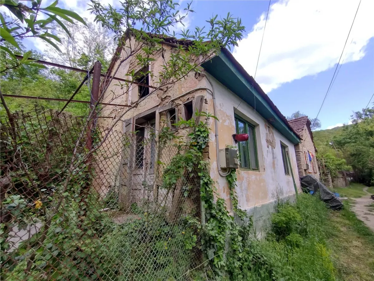 Sasca Montana | Oportunitate | Casa cu 230 MP Teren - foto 4