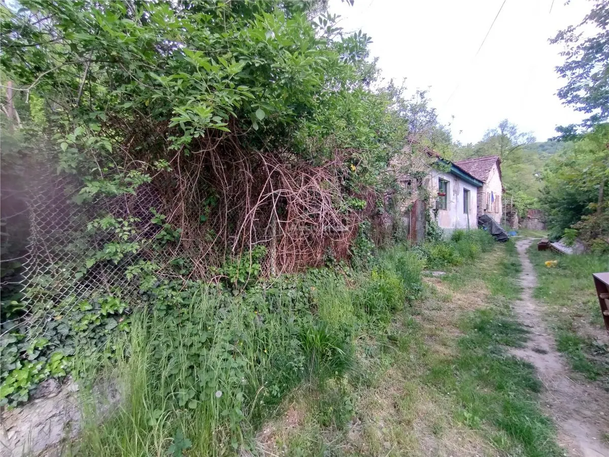 Sasca Montana | Oportunitate | Casa cu 230 MP Teren - foto 6