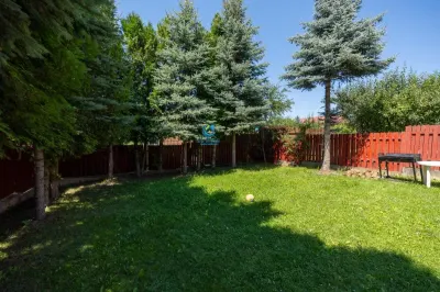 Vanzare casa imbratisata de natura in zona Bunloc, teren 445 mp - foto 8