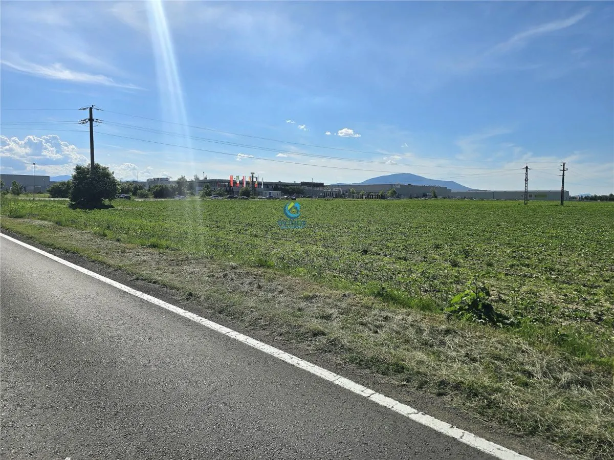 Vanzare teren industrial/comercial 18.000 mp - foto 5
