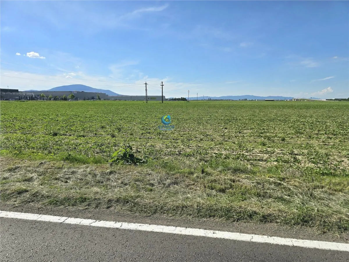 Vanzare teren industrial/comercial 18.000 mp - foto 6