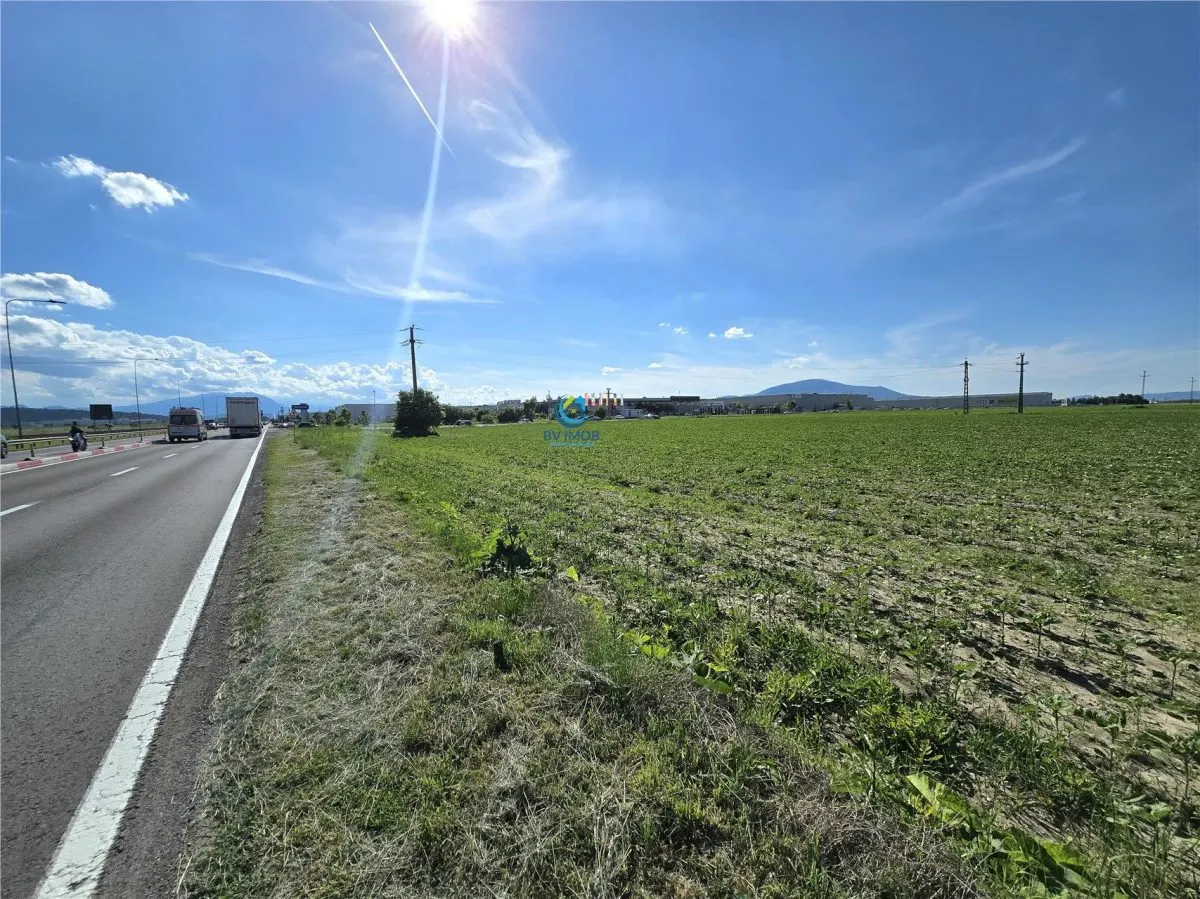 Vanzare teren industrial/comercial 18.000 mp - foto 7